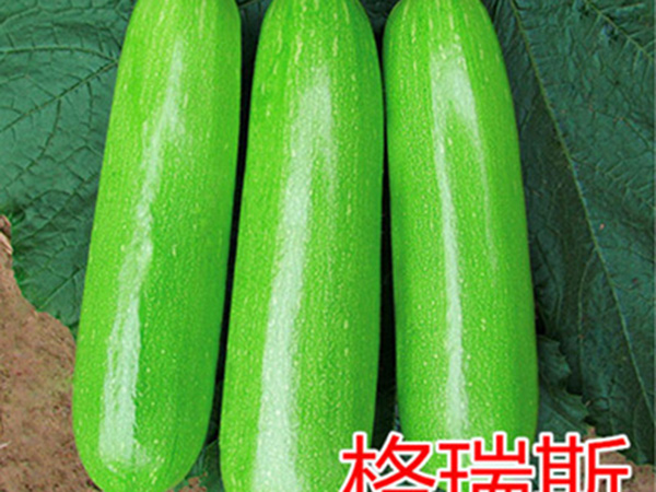 越冬**—格瑞斯