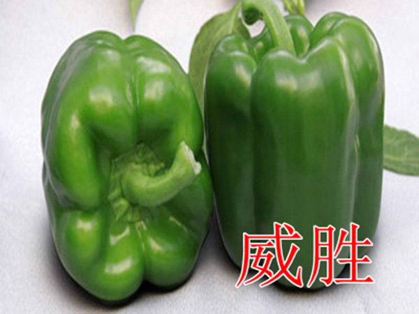 威胜甜椒