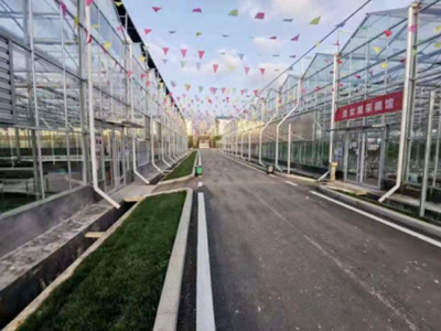 温室工程的保修期限和范围是怎么界定的？