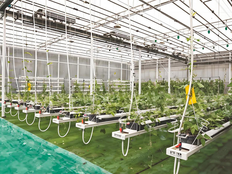 智慧农业再添新军，枝江智能玻璃温室即将投入使用