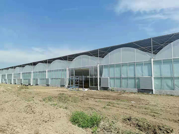 连栋温室大棚