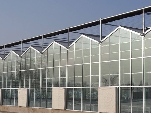 文络温室大棚